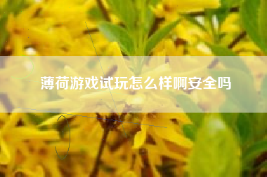 薄荷游戏试玩怎么样啊安全吗