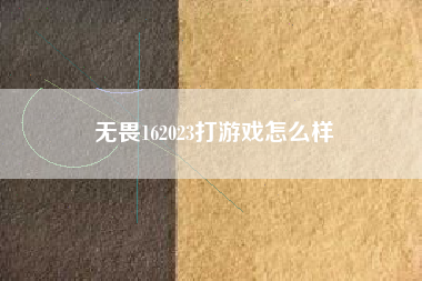 无畏162023打游戏怎么样