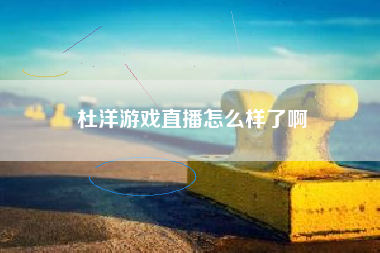 杜洋游戏直播怎么样了啊
