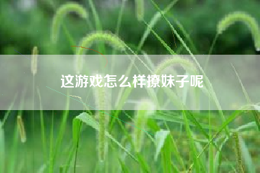 这游戏怎么样撩妹子呢