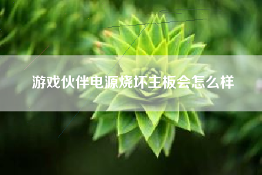 游戏伙伴电源烧坏主板会怎么样