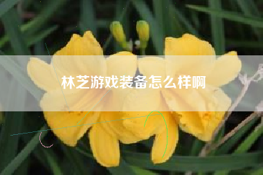 林芝游戏装备怎么样啊