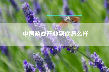 中国游戏产业到底怎么样
