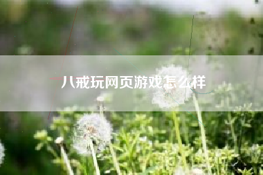 八戒玩网页游戏怎么样