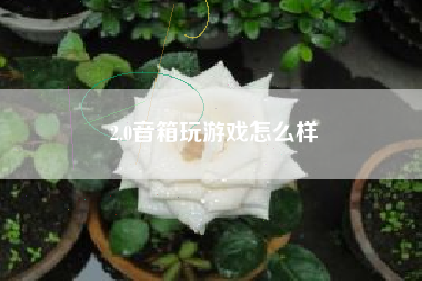 2.0音箱玩游戏怎么样