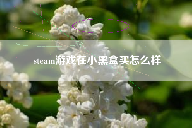 steam游戏在小黑盒买怎么样