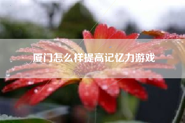 厦门怎么样提高记忆力游戏