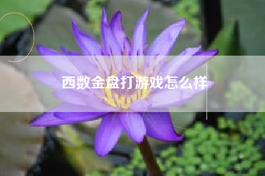 西数金盘打游戏怎么样