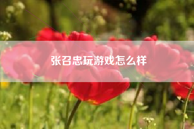 张召忠玩游戏怎么样