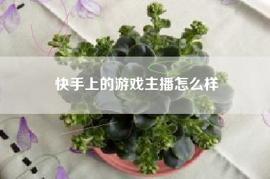 快手上的游戏主播怎么样