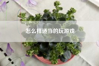 怎么样适当的玩游戏