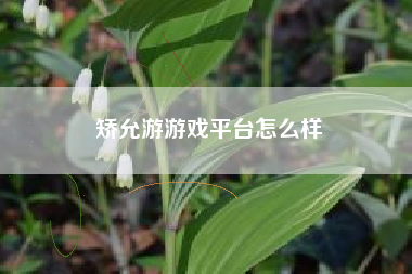 矫允游游戏平台怎么样