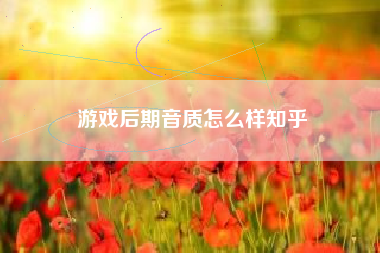 游戏后期音质怎么样知乎