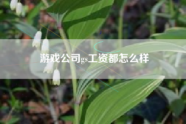 游戏公司gs工资都怎么样