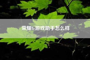 荣耀8c游戏助手怎么样