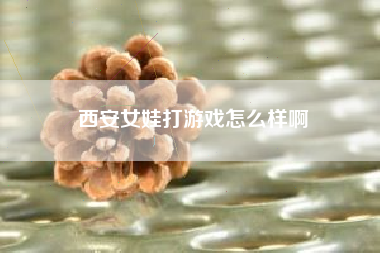 西安女娃打游戏怎么样啊