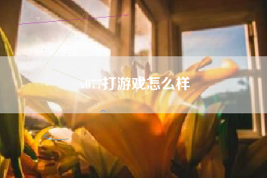 v077打游戏怎么样