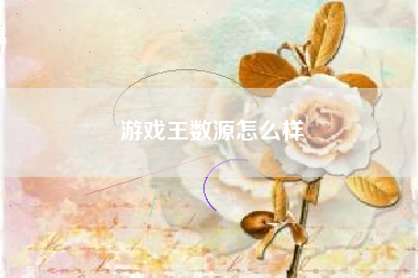 游戏王数源怎么样