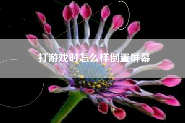 打游戏时怎么样倒置屏幕