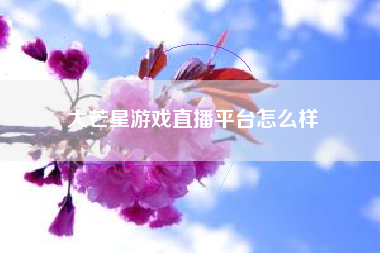 大芒星游戏直播平台怎么样