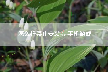 怎么样禁止安装vivo手机游戏