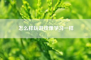 怎么样玩游戏像学习一样