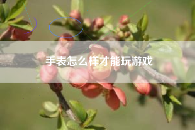 手表怎么样才能玩游戏