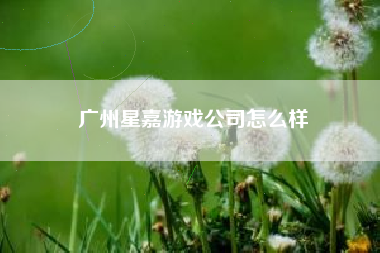 广州星嘉游戏公司怎么样