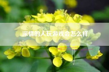 深情的人玩游戏会怎么样