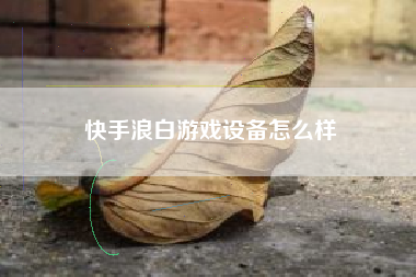 快手浪白游戏设备怎么样