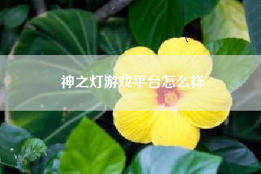 神之灯游戏平台怎么样