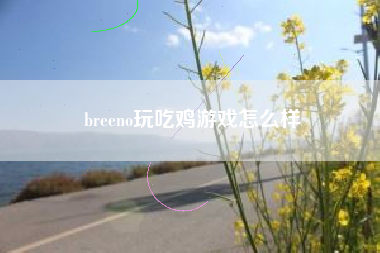 breeno玩吃鸡游戏怎么样