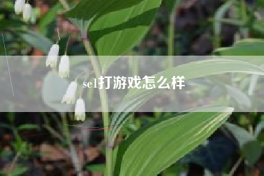 se1打游戏怎么样