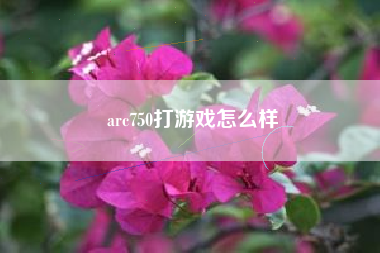 arc750打游戏怎么样