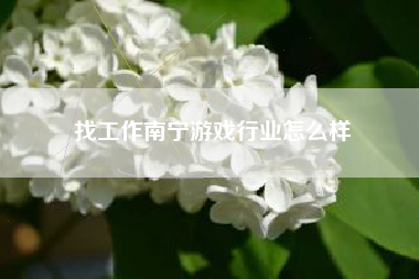 找工作南宁游戏行业怎么样