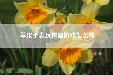 苹果手表玩拼图游戏怎么样