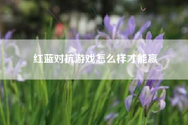 红蓝对抗游戏怎么样才能赢