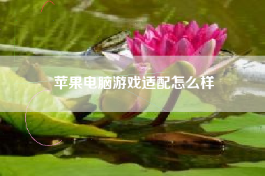 苹果电脑游戏适配怎么样