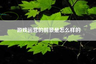 游戏运营的前景是怎么样的