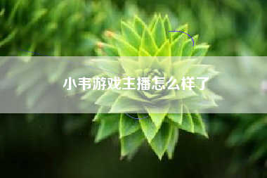 小韦游戏主播怎么样了