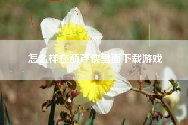 怎么样在葫芦侠里面下载游戏