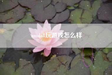 amda8玩游戏怎么样