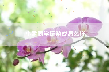 小孟同学玩游戏怎么样