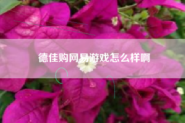 德佳购网易游戏怎么样啊