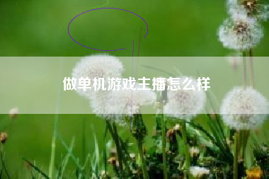 做单机游戏主播怎么样