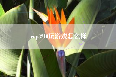 cup3210玩游戏怎么样