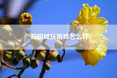 花园城玩游戏怎么样