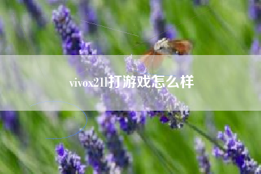 vivox21l打游戏怎么样