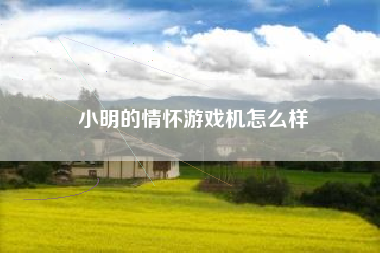 小明的情怀游戏机怎么样