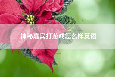 神秘嘉宾打游戏怎么样英语